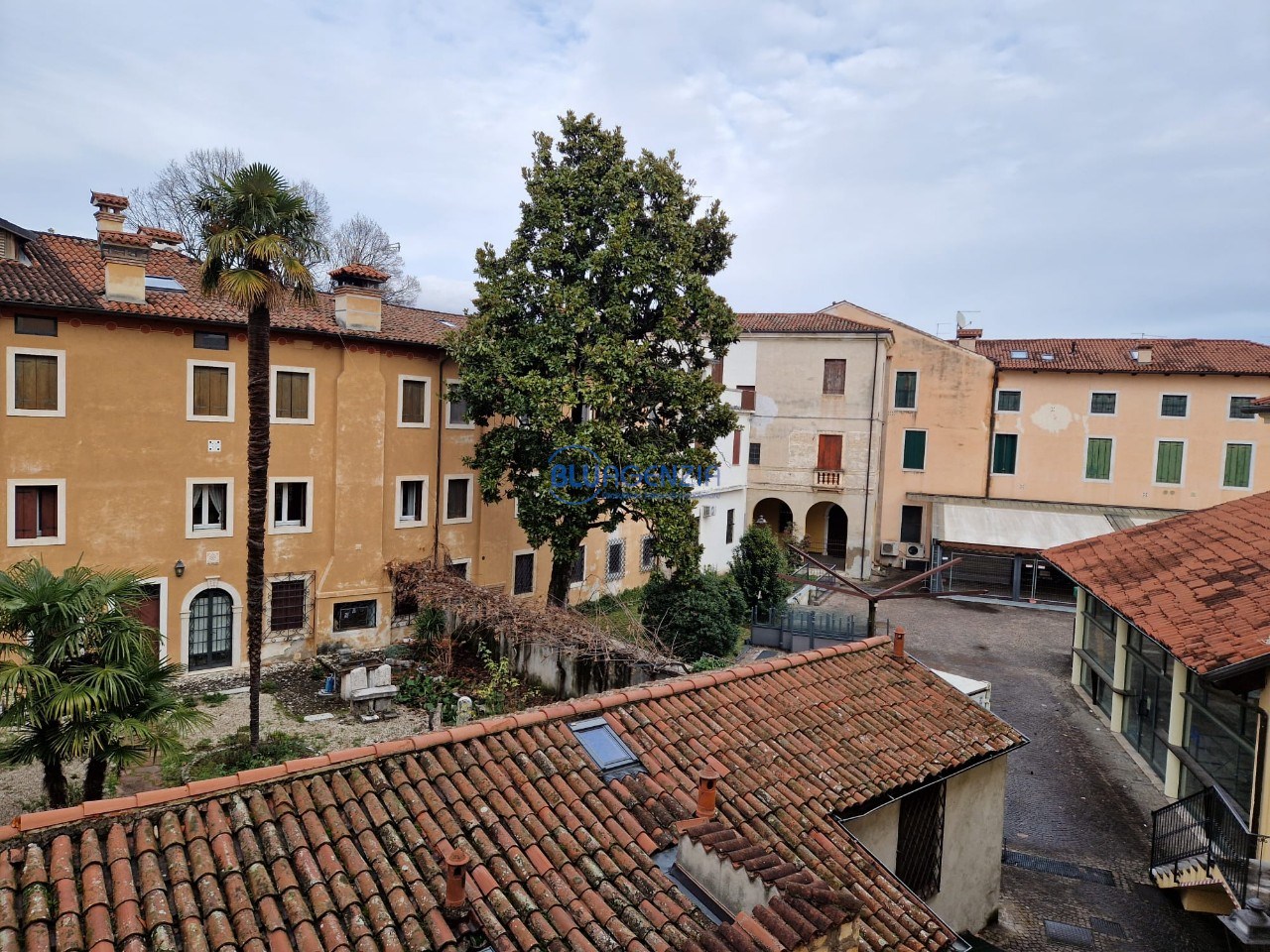 WhatsApp Image 2026-02-06 at 16.00.45 (1)