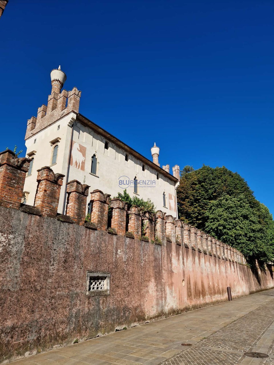 immagine annuncio 11 di 13