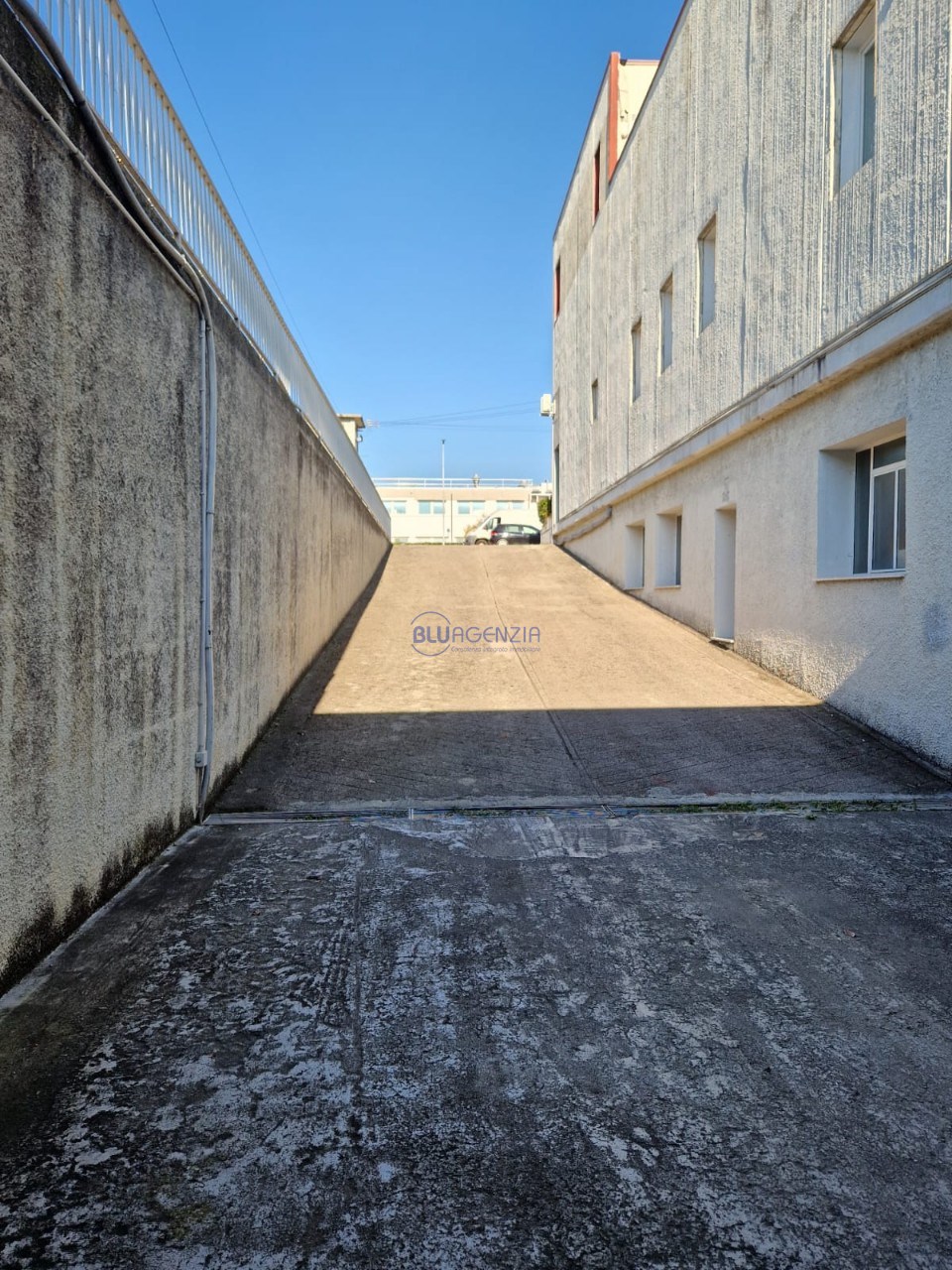 WhatsApp Image 2025-11-04 at 14.39.10