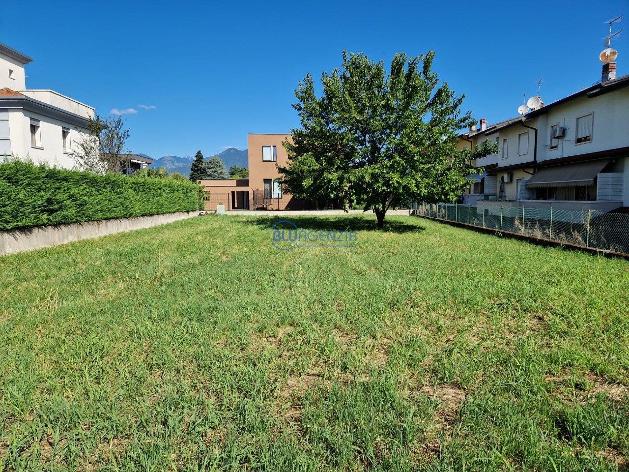 immagine annuncio 3 di 13