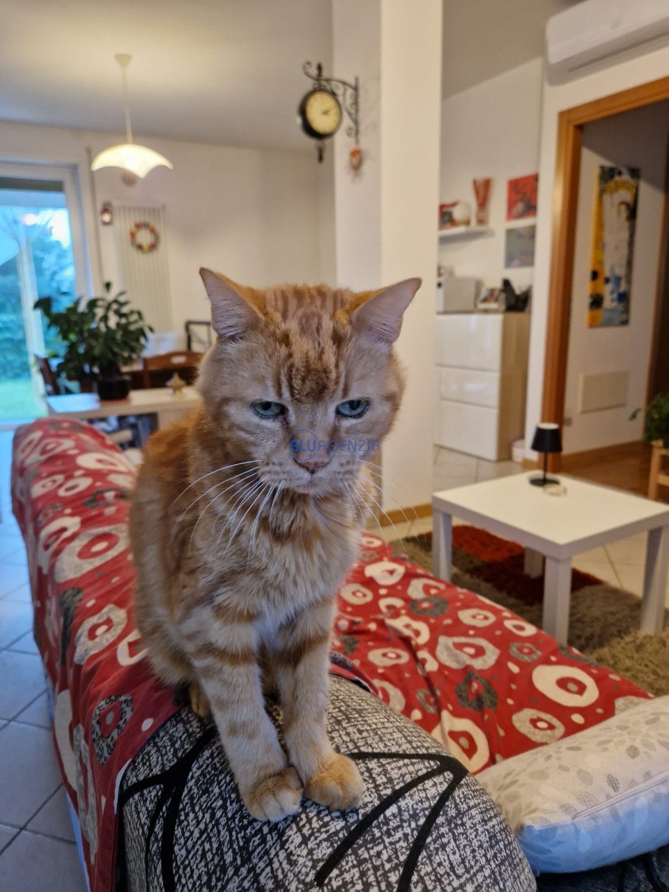 WhatsApp Image 2025-11-25 at 16.47.47 (3)