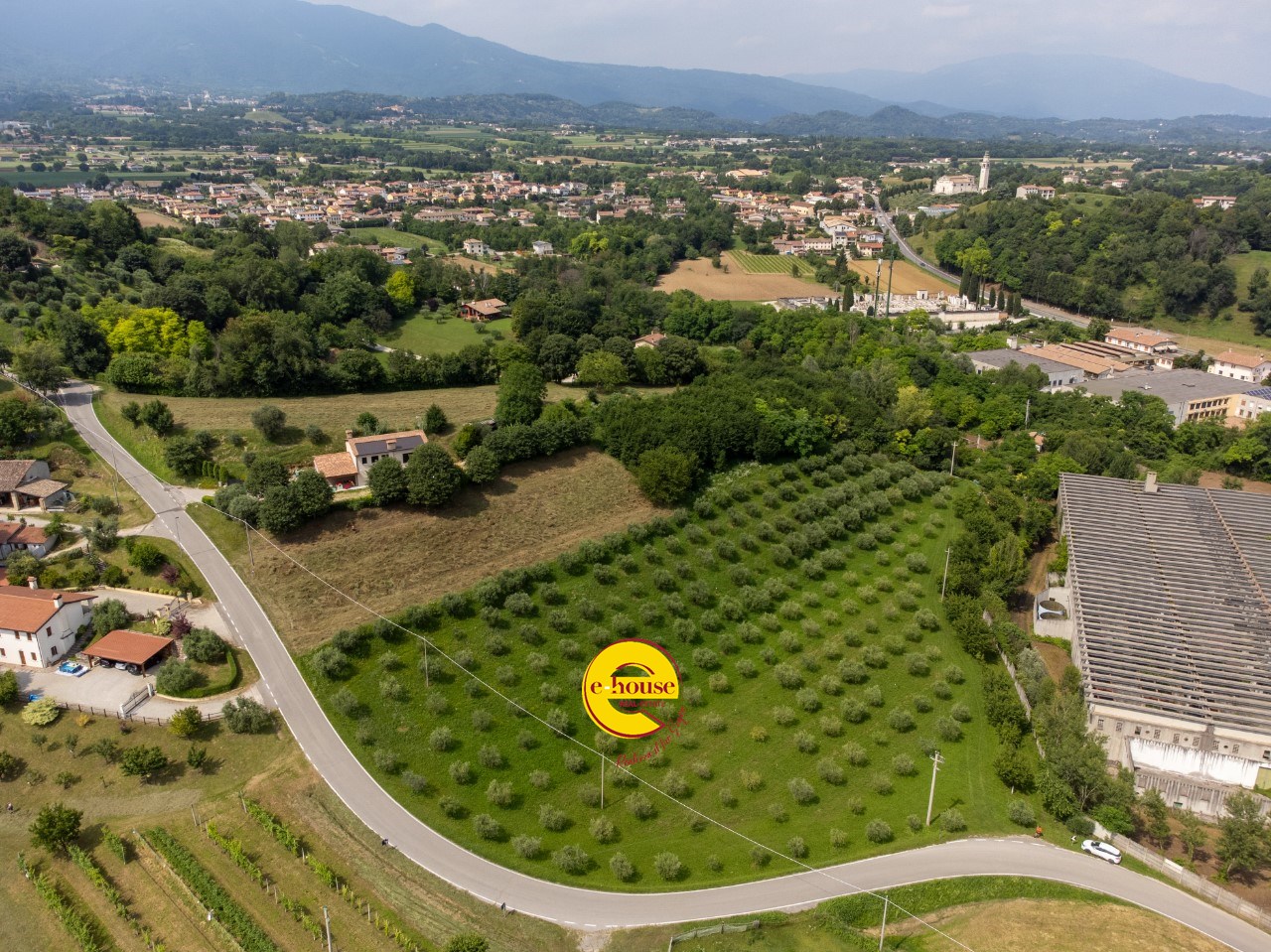 immagine annuncio 10 di 15