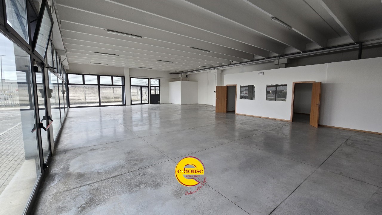 immagine annuncio 4 di 6