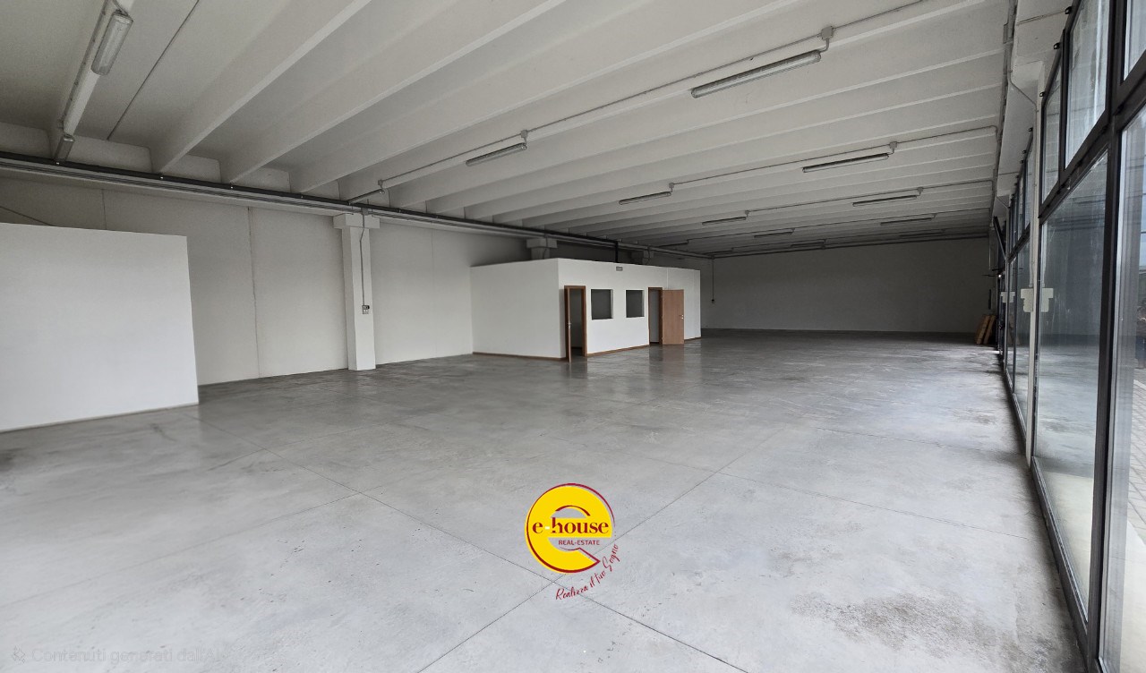 immagine annuncio 1 di 6