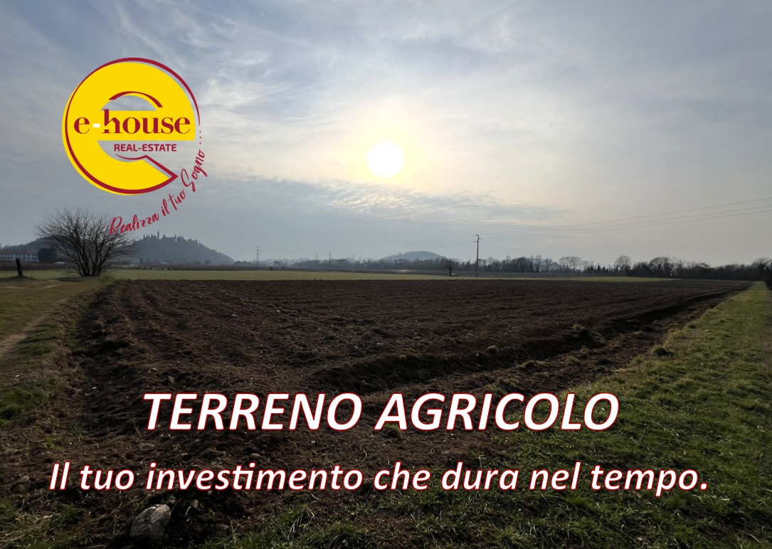 TERRENO AGRIC 2