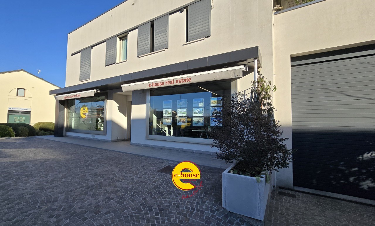 immagine annuncio 7 di 13