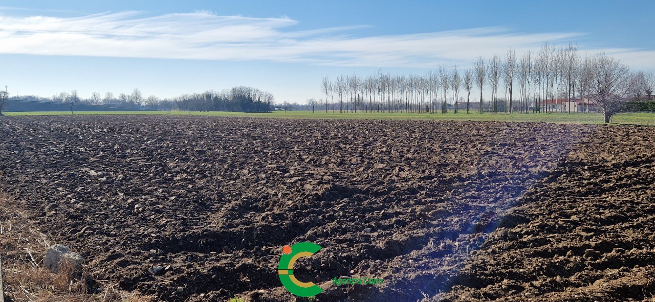 immagine annuncio 2 di 8