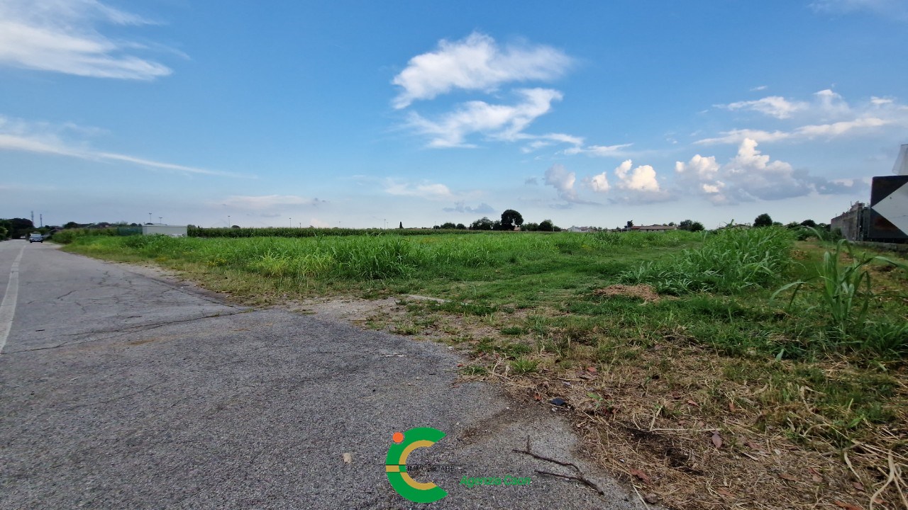 immagine annuncio 4 di 11