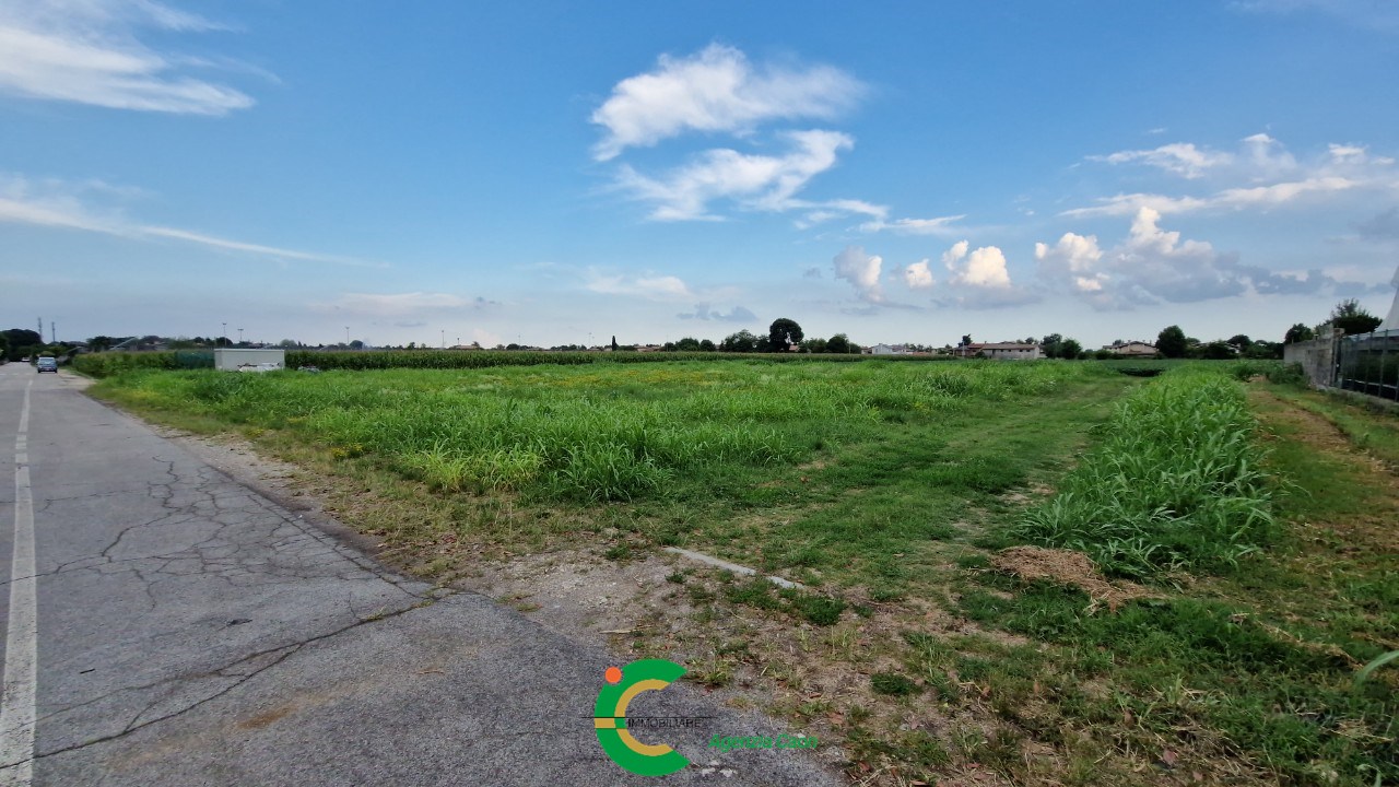 immagine annuncio 3 di 11