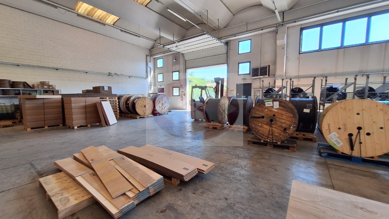 immagine annuncio 4 di 10