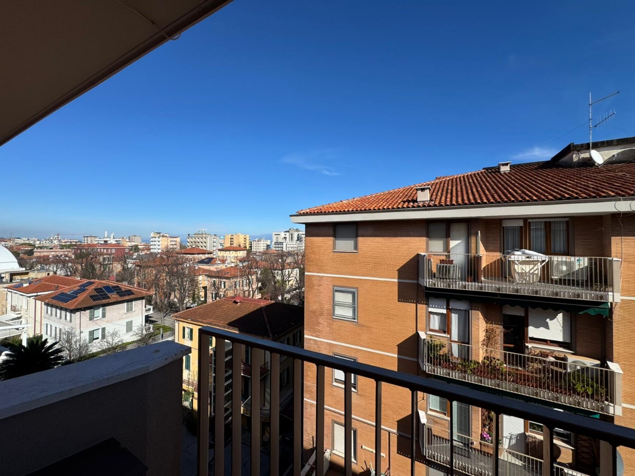 WhatsApp Image 2026-02-10 at 15.03.41