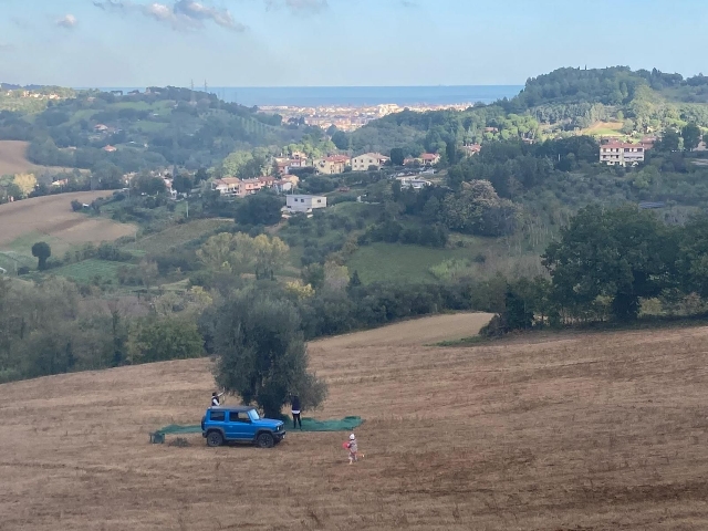 immagine annuncio 10 di 11