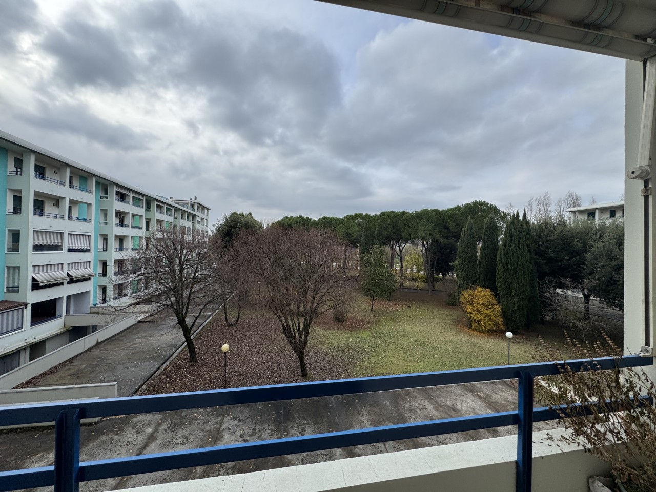 immagine annuncio 5 di 14