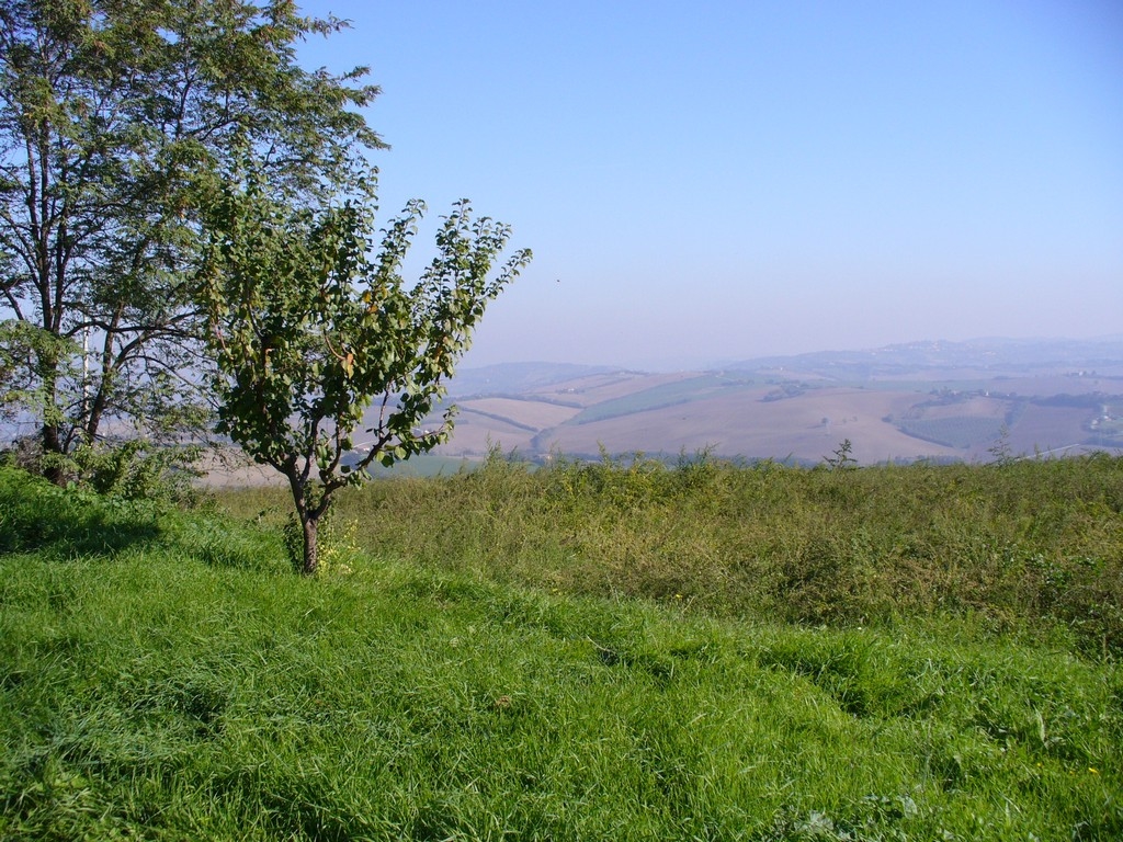 immagine annuncio 9 di 11