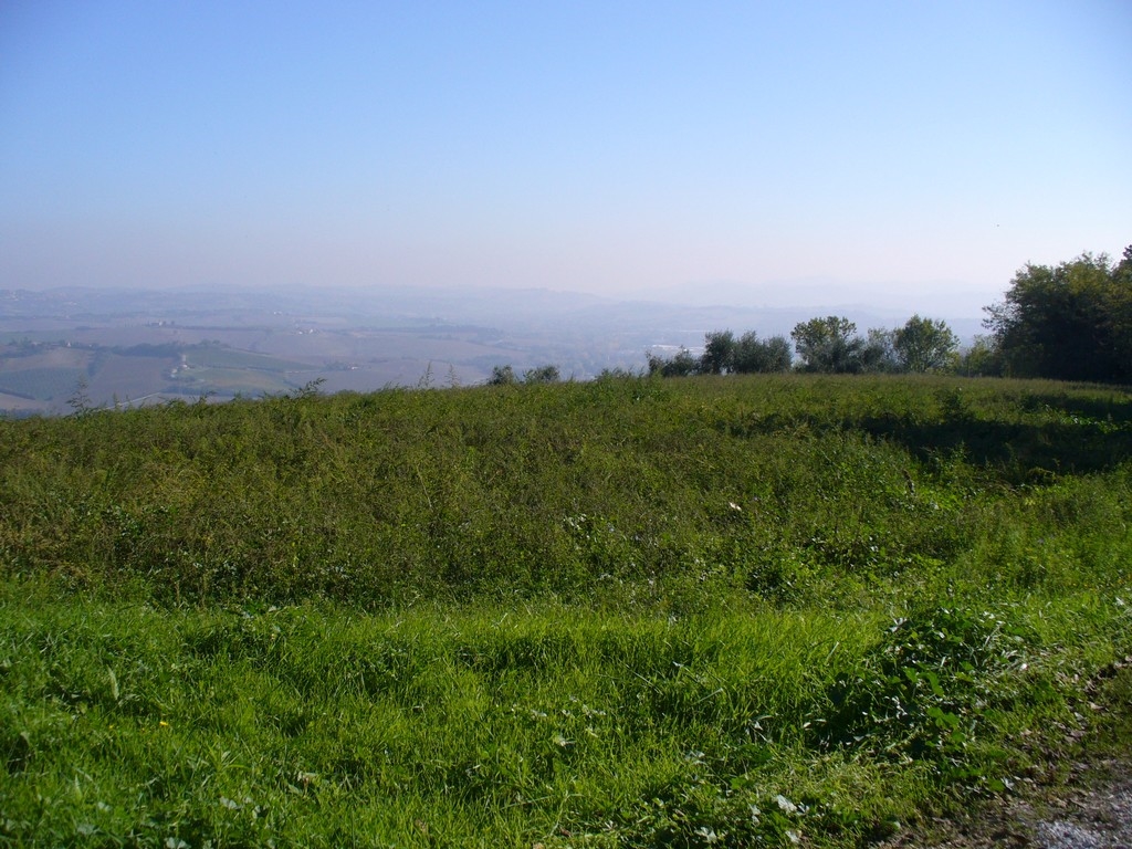 immagine annuncio 8 di 11