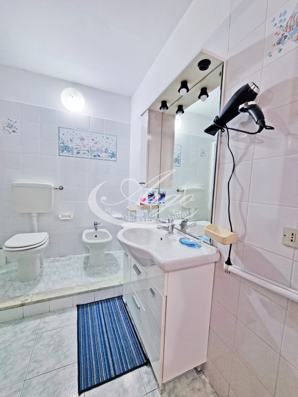 immagine annuncio 12 di 14