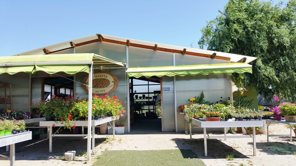 immagine annuncio 10 di 15