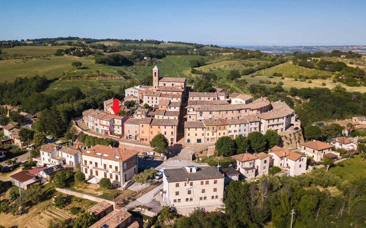 serrungarina