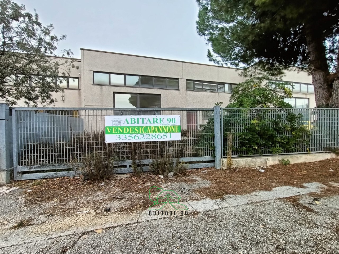 immagine annuncio 8 di 14