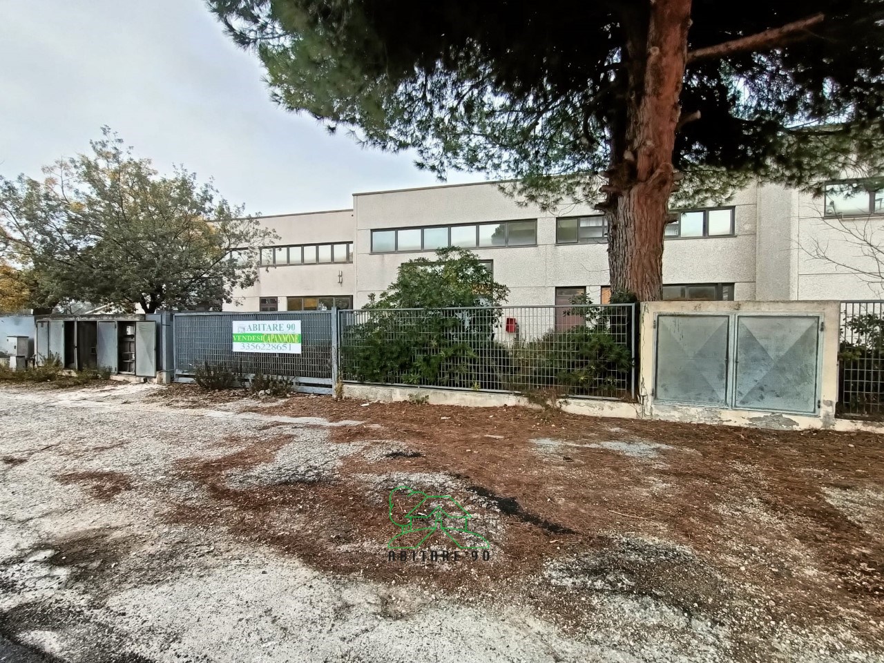 immagine annuncio 1 di 14