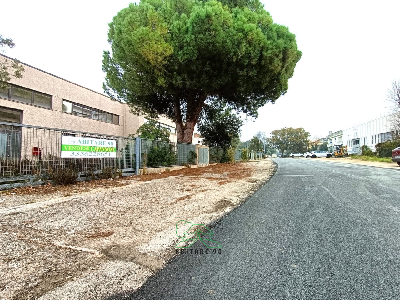 immagine annuncio 12 di 14