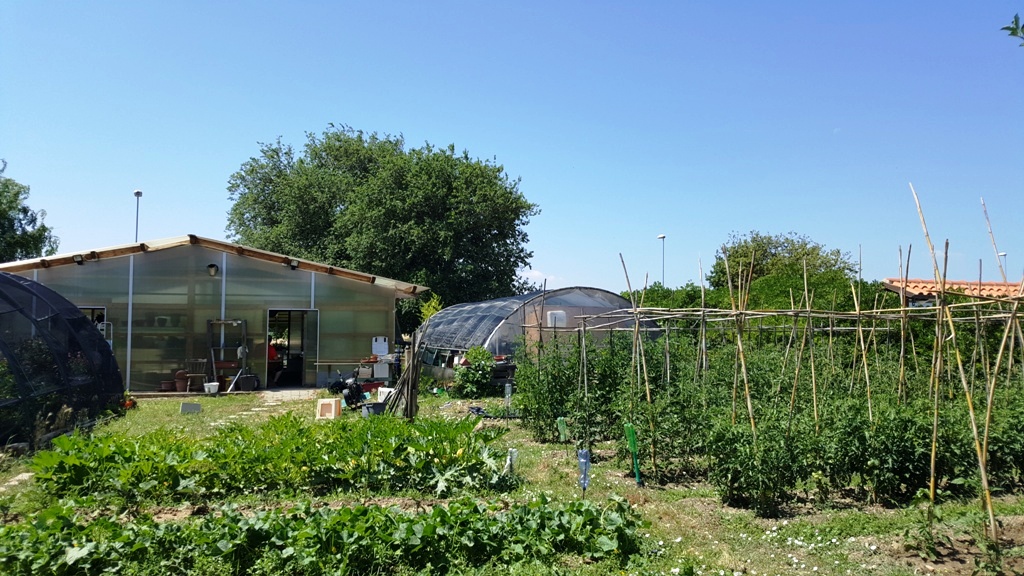 immagine annuncio 6 di 15