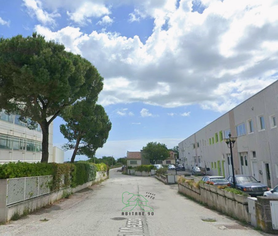 immagine annuncio 11 di 12