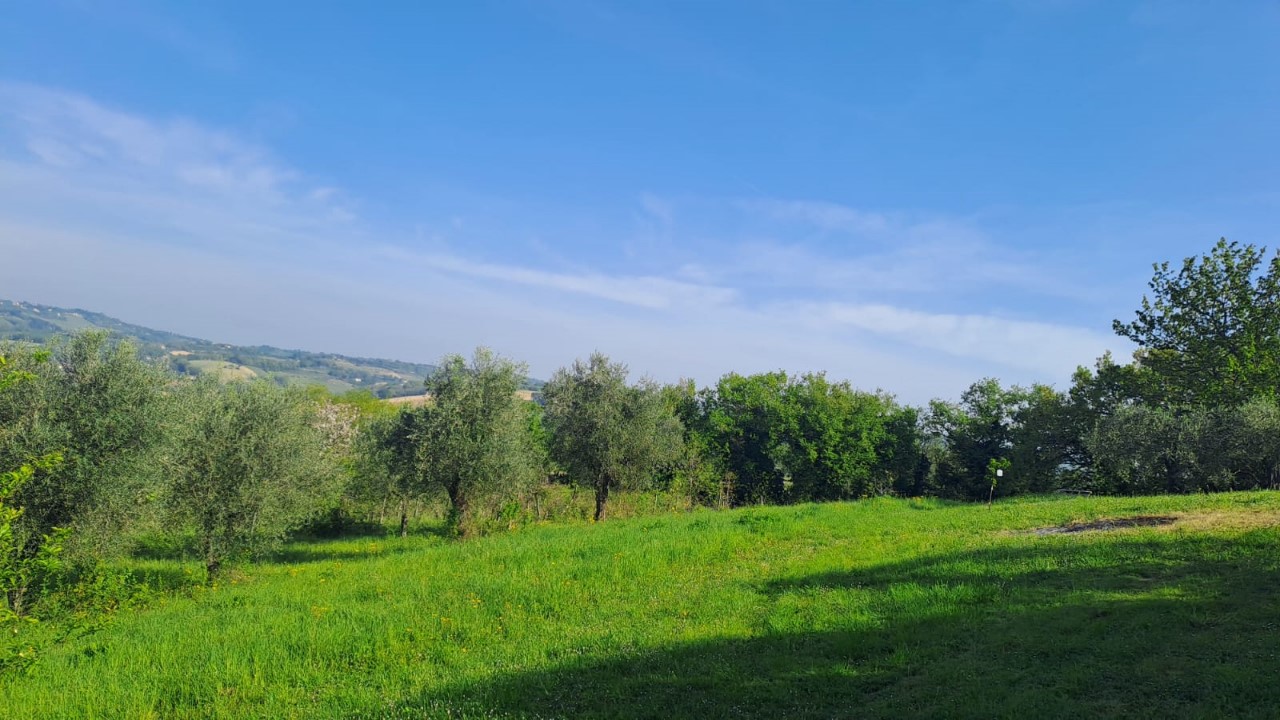 immagine annuncio 12 di 14