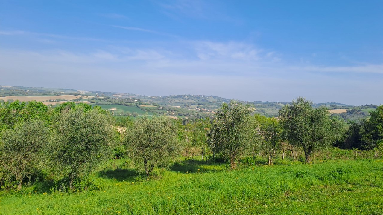 immagine annuncio 10 di 14