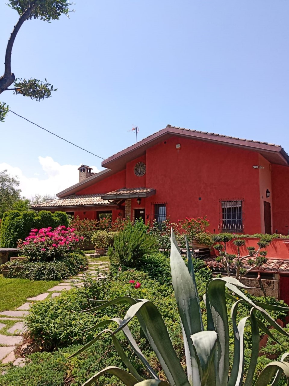 immagine annuncio 8 di 15
