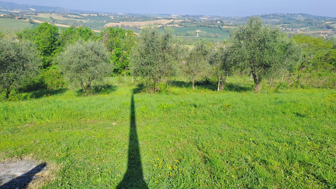 immagine annuncio 5 di 14