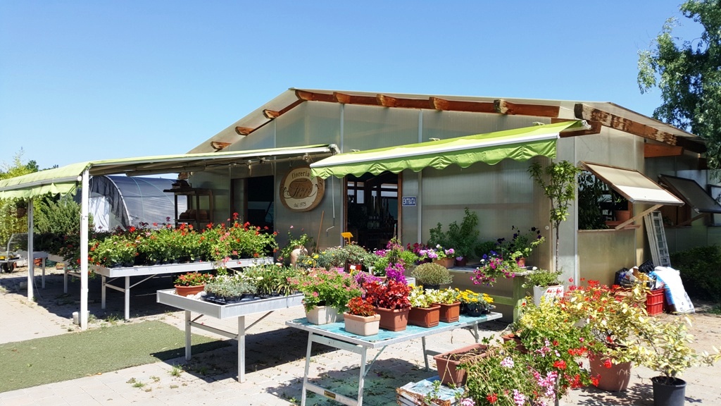 immagine annuncio 9 di 15