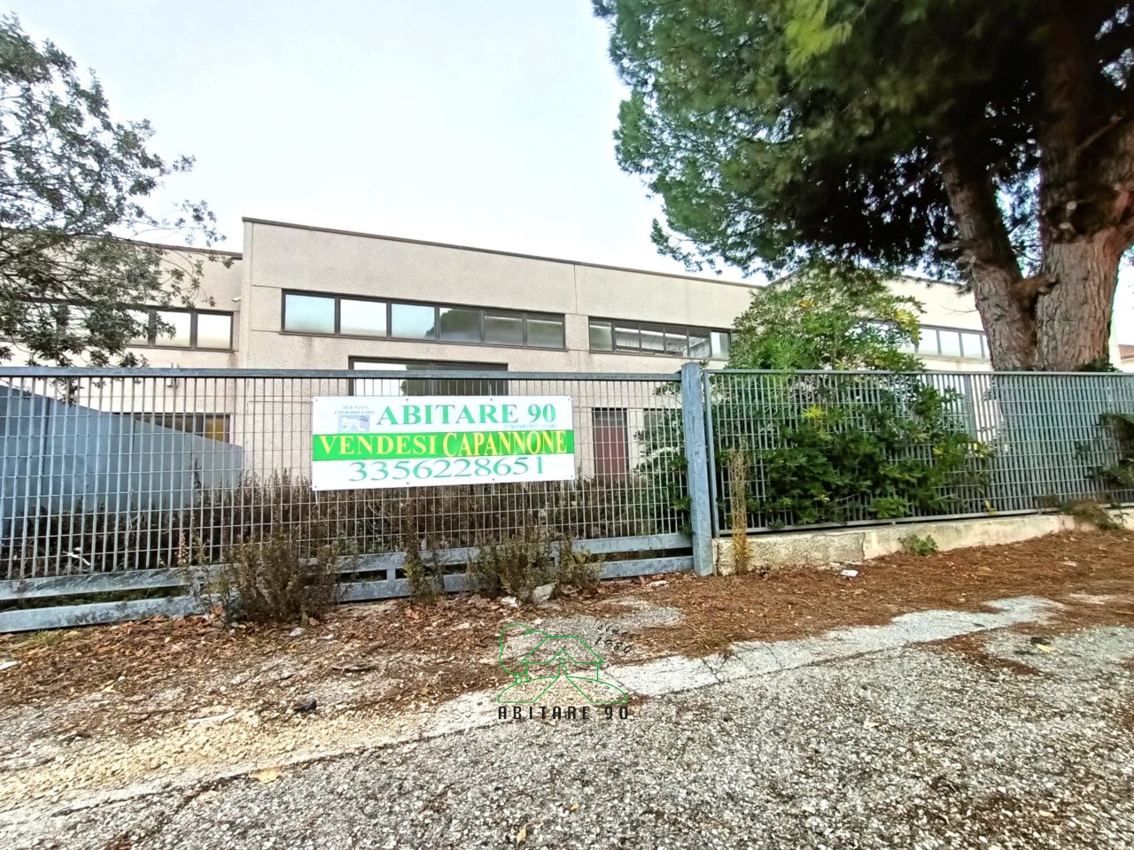 immagine annuncio 10 di 14