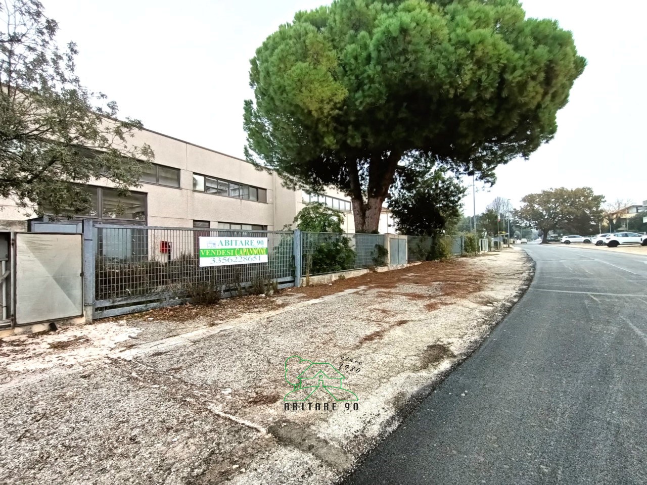 immagine annuncio 7 di 14