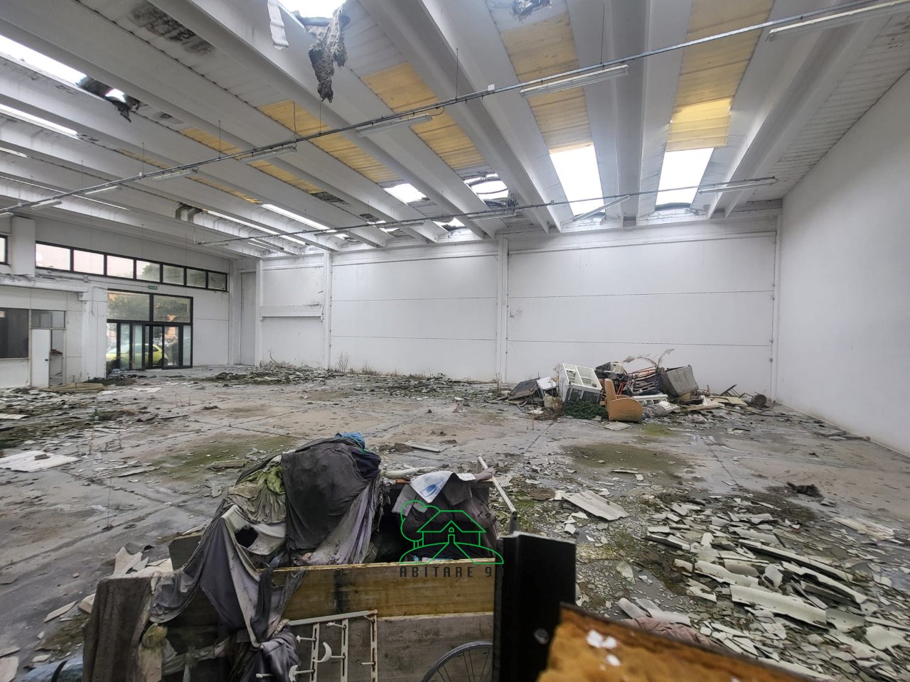 immagine annuncio 12 di 15