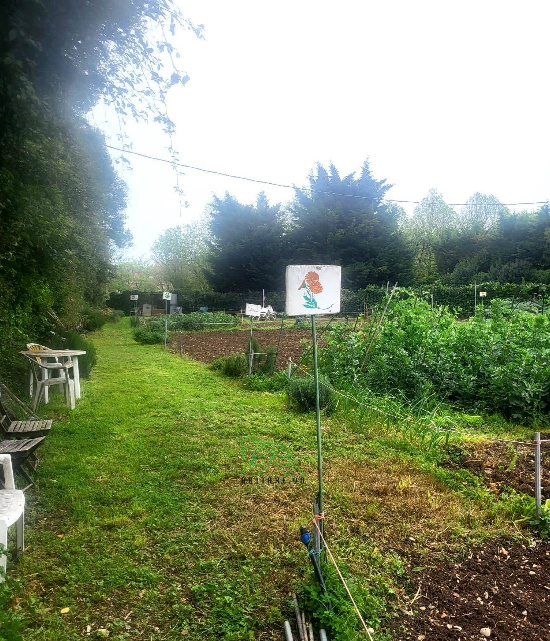 immagine annuncio 3 di 13