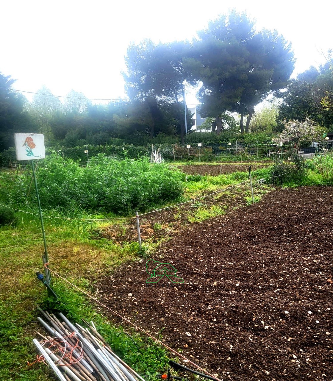 immagine annuncio 2 di 13