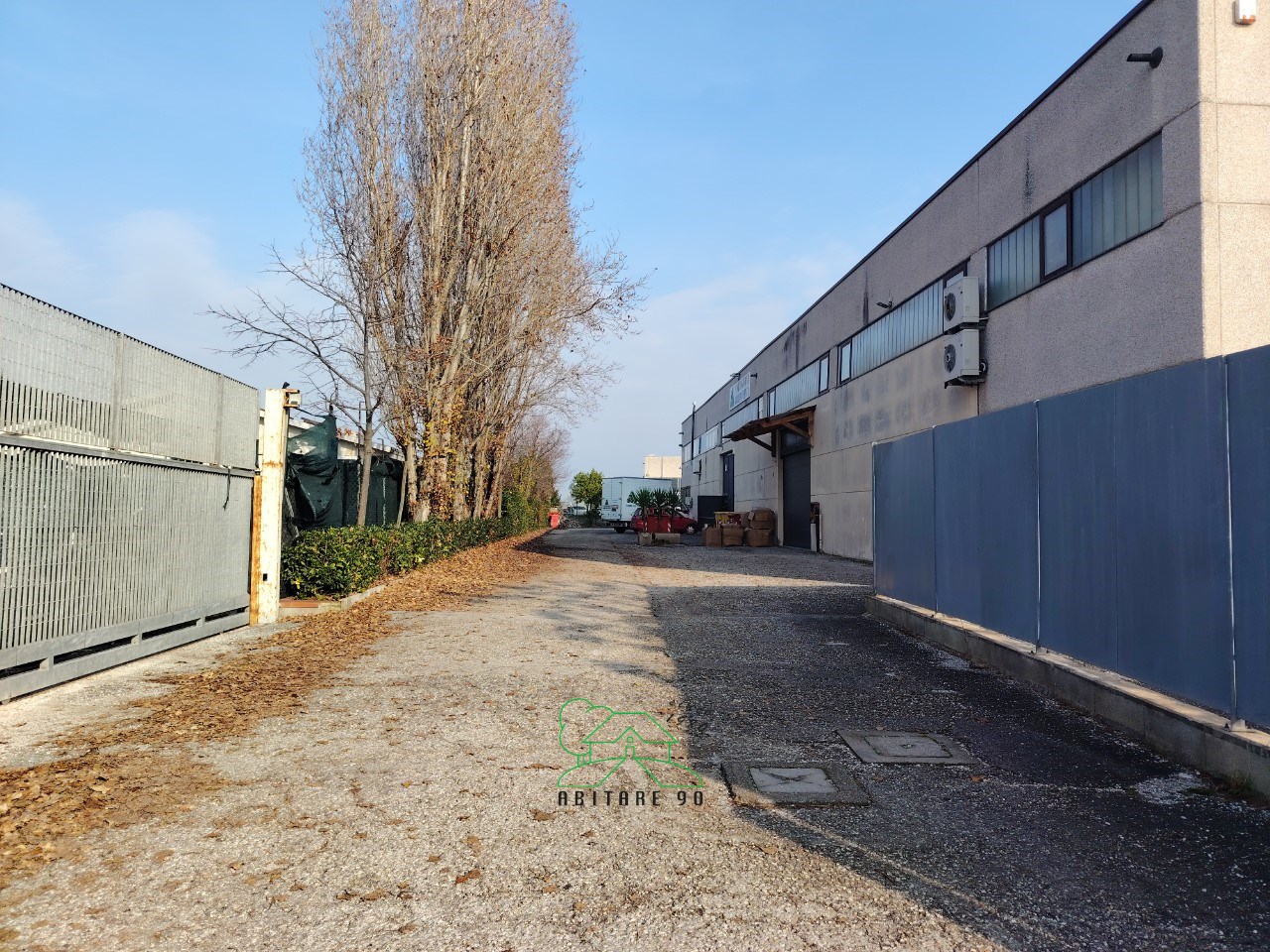 immagine annuncio 12 di 15