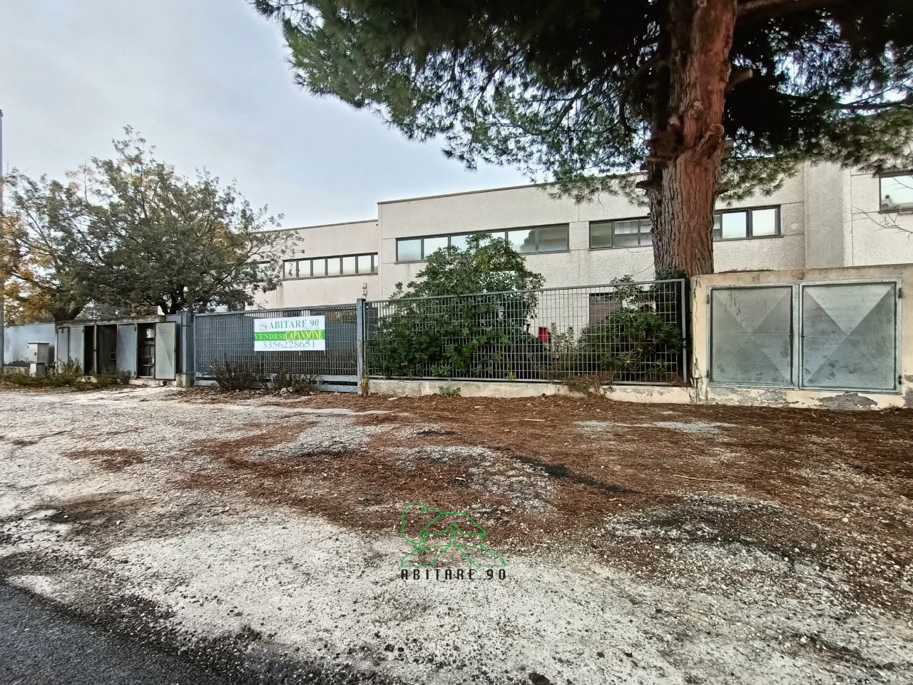 immagine annuncio 9 di 14