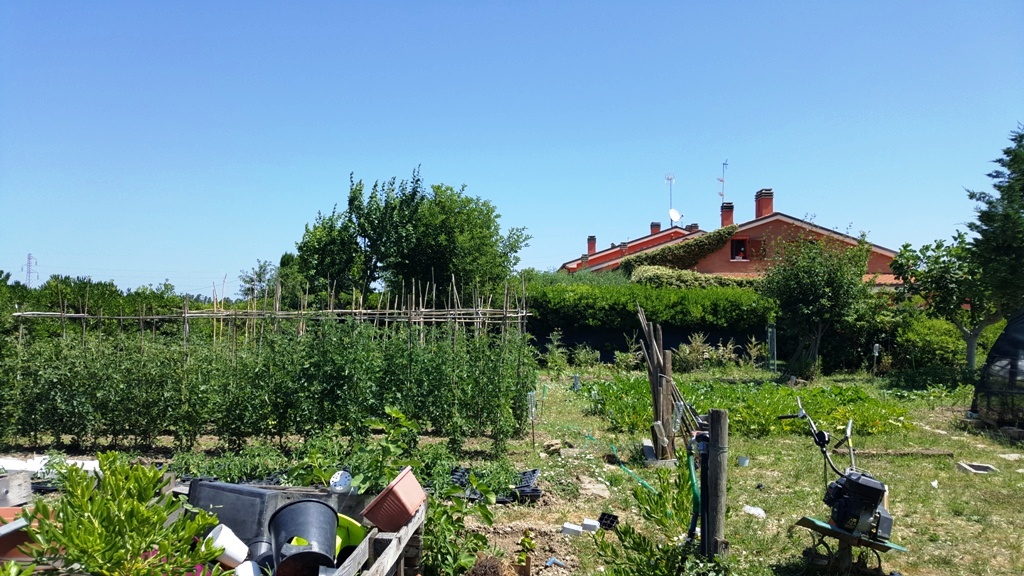 immagine annuncio 1 di 15