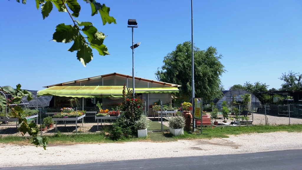 immagine annuncio 7 di 15