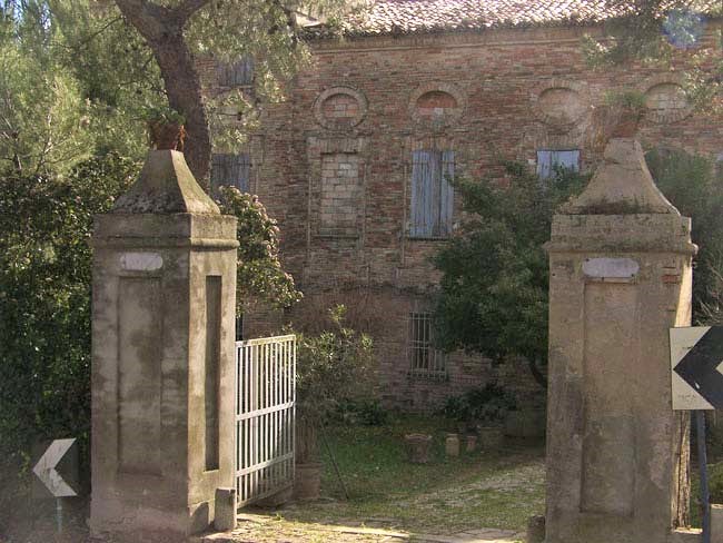 immagine annuncio 12 di 15