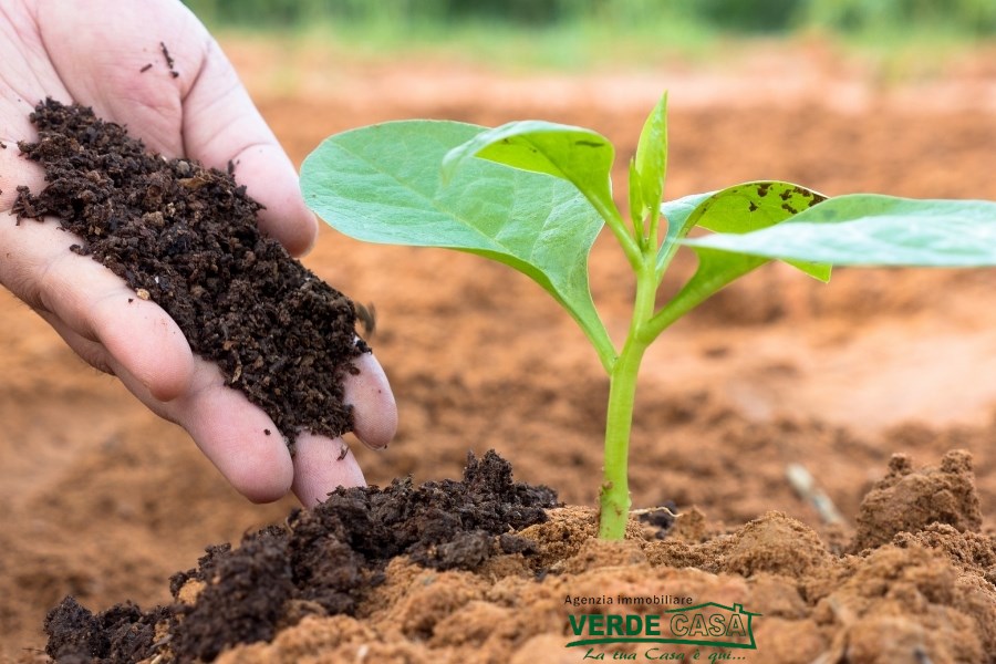 Altivole - ZONA CASELLE VENDESI TERRENO AGRICOLO