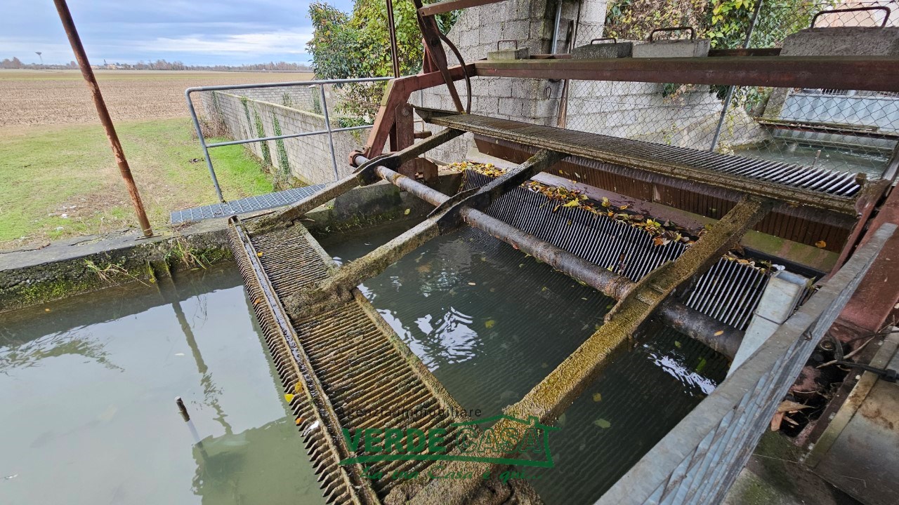 immagine annuncio 7 di 8