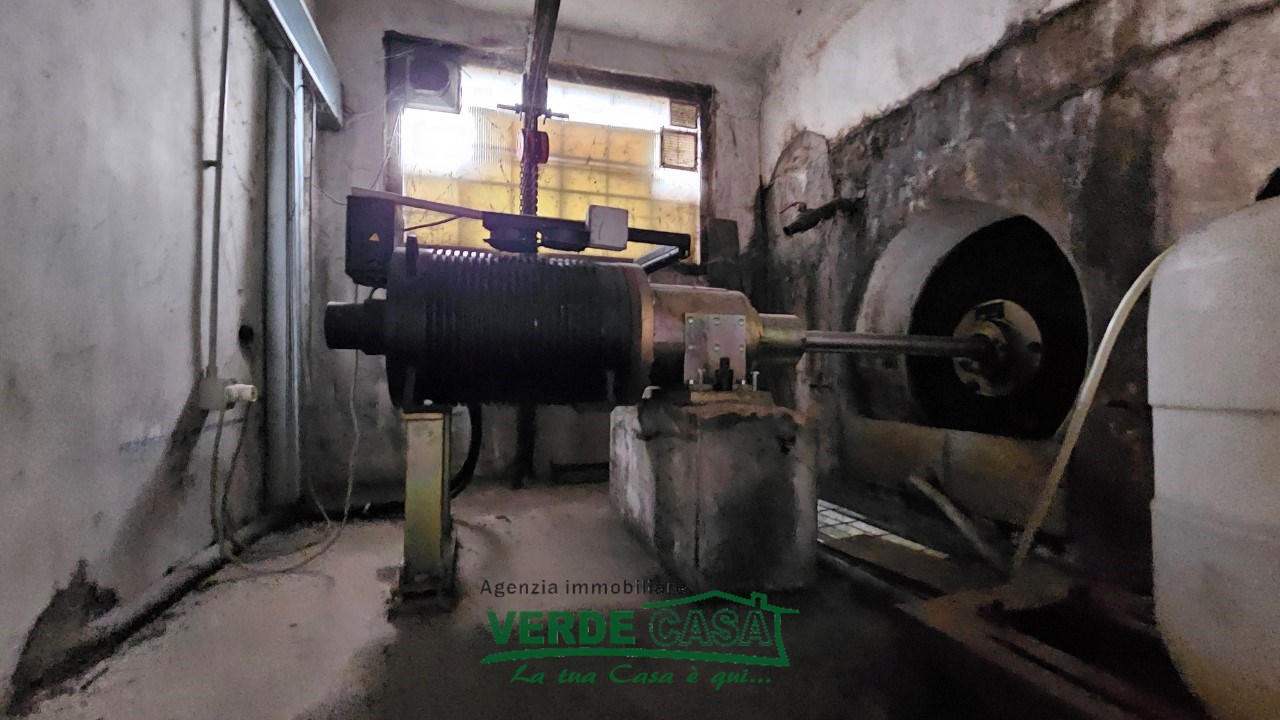 immagine annuncio 3 di 8