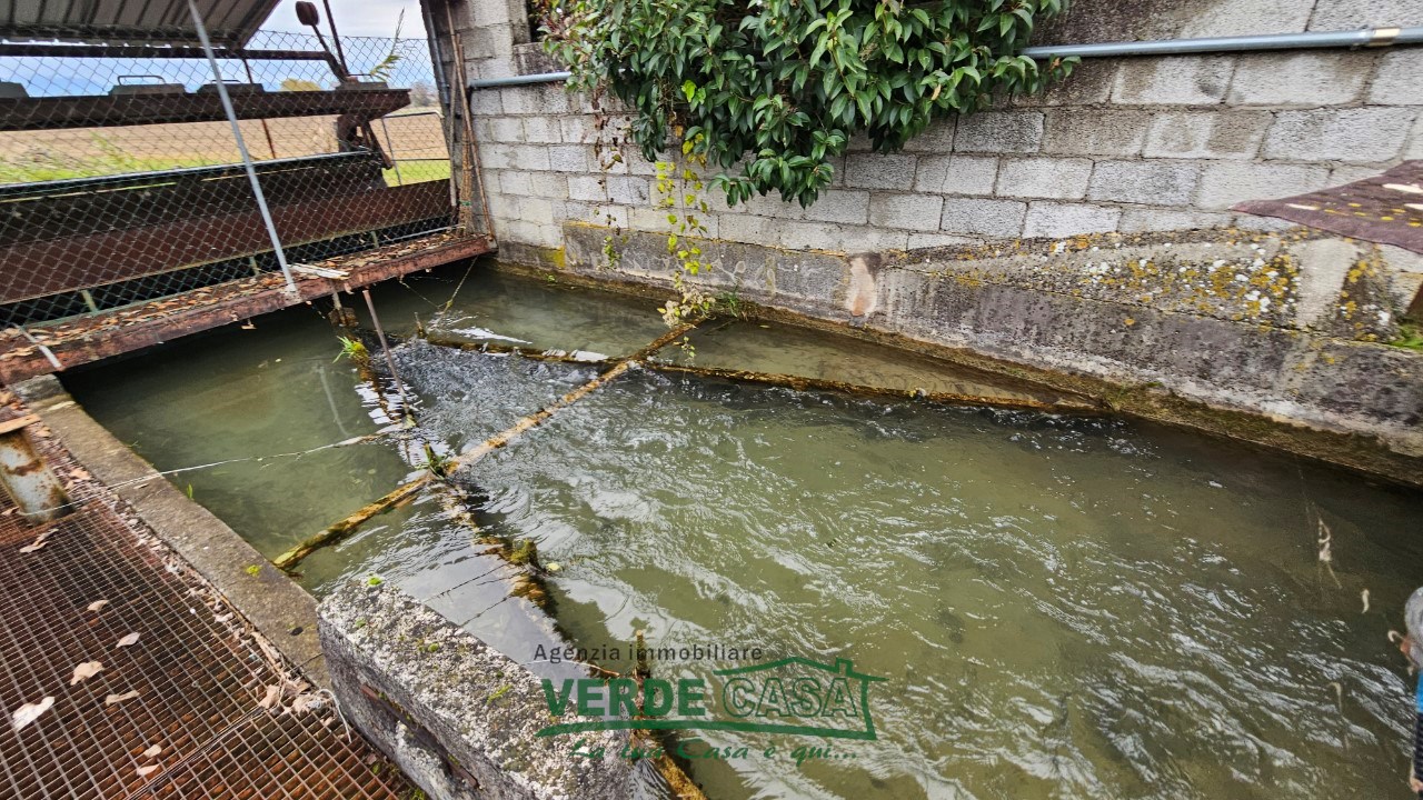 immagine annuncio 5 di 8