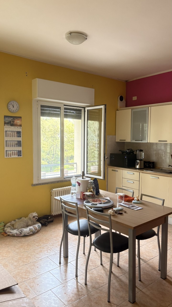 immagine annuncio 4 di 13