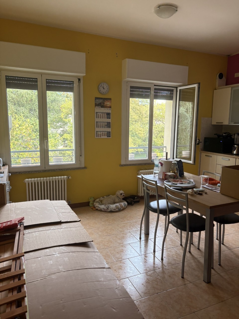 immagine annuncio 3 di 13