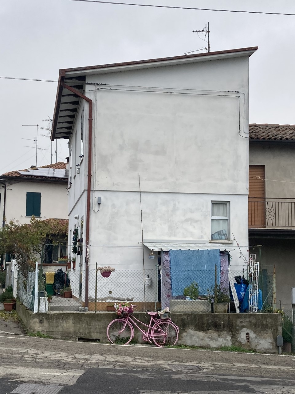 immagine annuncio 5 di 14