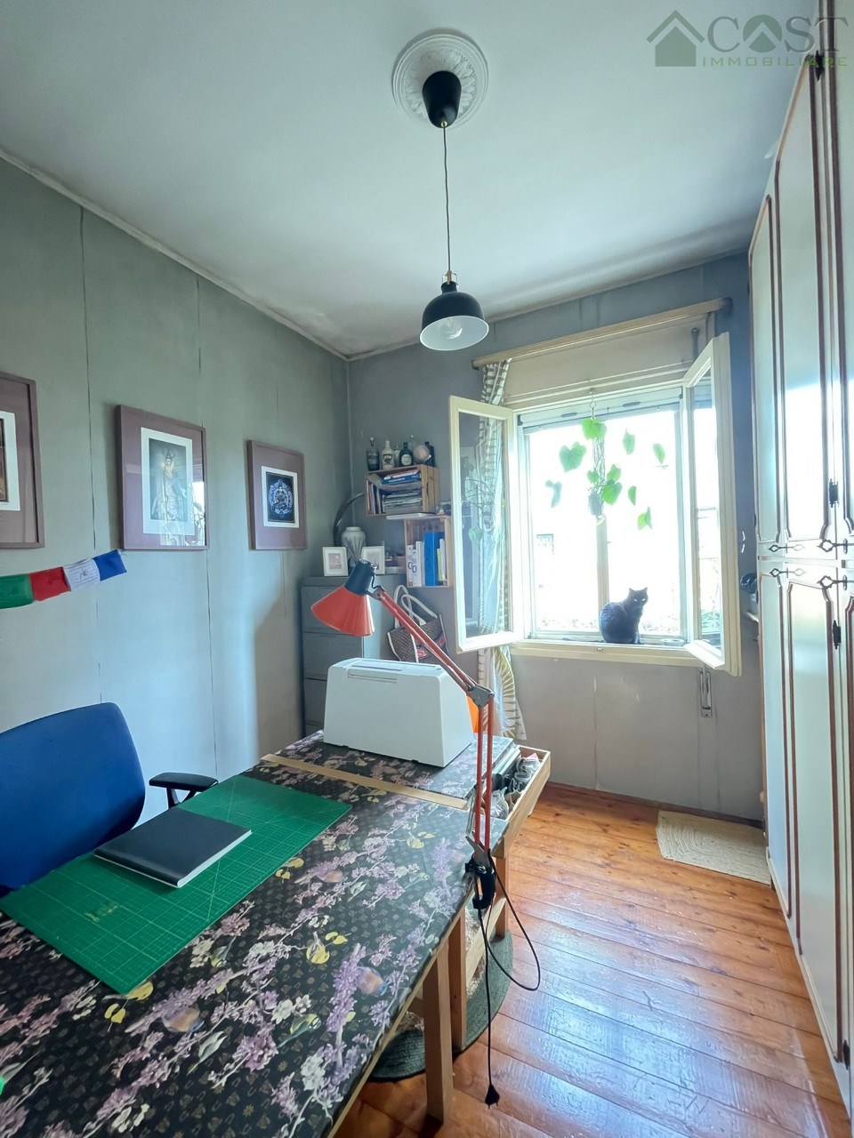 immagine annuncio 9 di 14